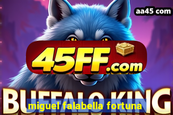 miguel falabella fortuna